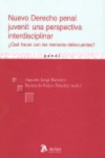 Nuevo derecho penal juvenil: una perspectiva interdisciplinar. ¿qué hacer con los menores delincuent