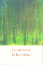 ENSEÑANZA DE LOS ARBOLES