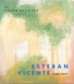 ESTEBAN VICENTE 1999-2000