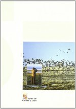 AVES ACUATICAS EN CASTILLA Y LEON, LAS