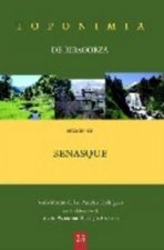 Toponimia de Ribagorza. Municipio de Benasque