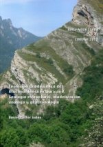 Evolución geodinámica del Oroclinal Ibero Armoricano. Geología estructural, modlización análoga y ge