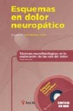 Técnicas neurofisiológicas en la exploración de las v­as del dolor