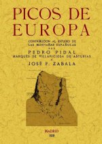 Picos de Europa: contribución al estudio de las montañas españolas