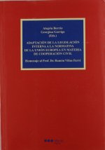 Adaptación de la legislación interna a la Normativa de la Unión Europea en materia de cooperación ci
