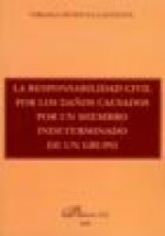 La responsabilidad civil por los daños causados por un miembro indeterminado de un grupo