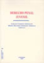 Derecho penal juvenil