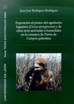 Exposición al plomo del aguilucho lagunero (Circus aeruginosus) y de otras aves asociadas a humedale
