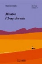 Mentre l'Iraq dormia