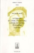 La formació de la Pobla de Santa Pau a redós del castell dels barons (1248-1331)