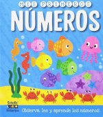 MIS PRIMEROS NÚMEROS