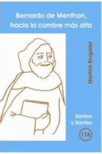 Bernardo de Menthon, hacia la cumbre más alta