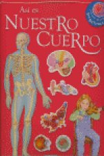 Así es nuestro cuerpo