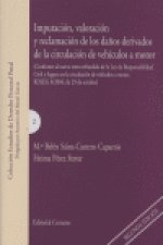 IMPUTACION VALORACION RECLAMACION DAÑOS CIRCULACION