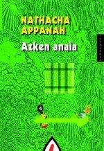 Azken anaia