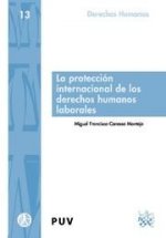 La protección internacional de los derechos humanos