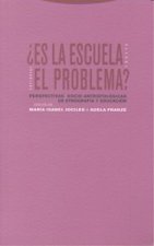 ¿Es la escuela el problema?