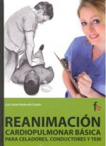Reanimación cardiopulmonar básica para celadores, conductores y TEM