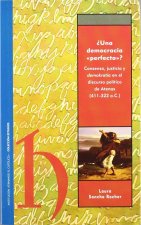 ¿Una democracia perfecta?