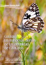 Las mariposas diurnas de la comunidad de Calatayud