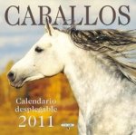 Caballos