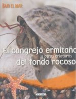 El cangrejo ermitaño y otras criaturas del fondo rocoso