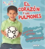 El corazón y los pulmones