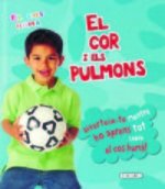El cor i els pulmons
