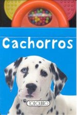 Cachorros