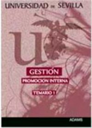 Gestión de la Universidad de Sevilla, promoción interna. Organización institucional, organización de