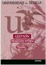 Gestión de la Universidad de Sevilla, promoción interna. Organización institucional, organización de
