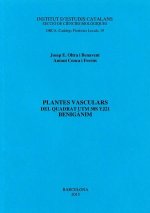 Plantes vasculars del quadrat UTM 30S YJ21, Benigànim