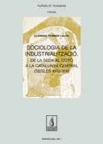 Sociologia de la industrialització