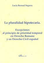 La pluralidad hipotecaria. Excepciones al principio de prioridad temporal en Derecho Romano y en Der