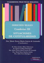 Cuadernos Prácticos Bolonia. Derechos Reales. Cuaderno III. Situaciones de Cotitularidad.