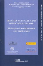 Desafíos actuales a los derechos humanos: el derecho al medio ambiente y su implicaciones