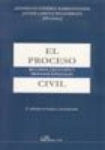 El proceso civil. Recursos, ejecución y procesos especiales