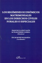 Los regímenes económicos matrimoniales en los derechos civiles forales o especiales
