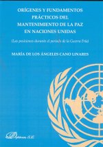 Orígenes y fundamentos prácticos del mantenimiento de la paz en las Naciones Unidas. Las posiciones