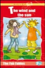 THE WIND AND THE SUN LIBRO