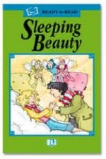 SLEEPING BEAUTY LIBRO