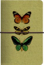 Tarjetero mariposas