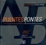 Puentes / Pontes : Antolog­a bilingüe / Antologia bilingüe : Poes­a argentina y brasileña contempora