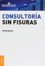 CONSULTORIA SIN FISURAS