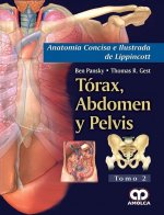 TORAX, ABDOMEN Y PELVIS.TOMO II (ANATOMIA CONCISA E ILUSTRADA DE LIPPINCOTT)