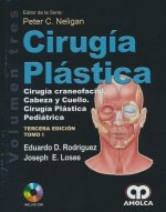 CIRUGIA PLASTICA VOL 3 CIRUGIA CRANEOFACIAL CABEZA CUELLO