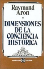 DIMENSIONES CONCIENCIA HISTORI