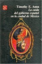 CAIDA DEL GOBIERNO ESPA/OL