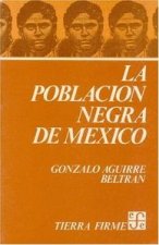 POBLACION NEGRA MEXICO, LA