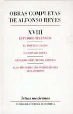 OBRAS C. A. REYES XVIII